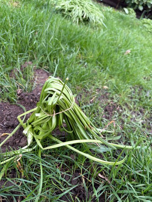 95a40864-fe00-4313-8722-3abf01803d46