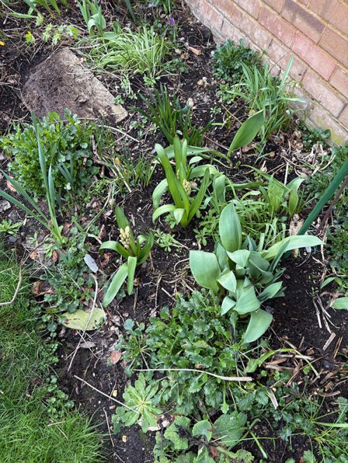 d0a1c44e-21f4-4b96-98c2-21bcdb4613cb