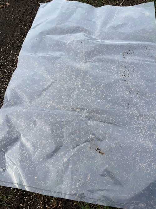 fe5065f1-b8cc-47ea-91d7-dabb800f11c5